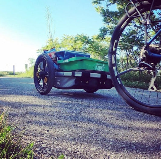 Everyday Cargo Trailer